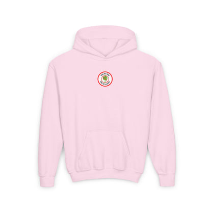 Tree Nut Allergy Red Logo Youth Hoodie