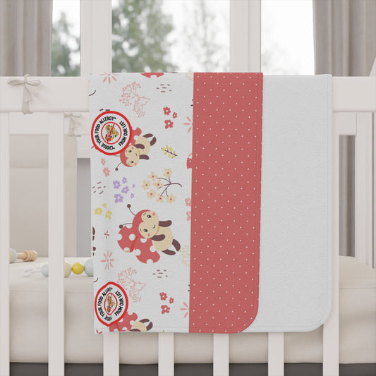 Lady Bug Baby Blanket